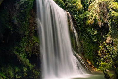 Scenic view of waterfall in forest