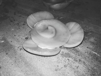 Close-up of food on table