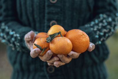 Hands of woman holding fresh oranges