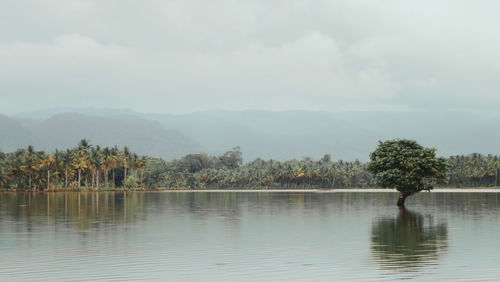 Scenic view of lake by trees against sky