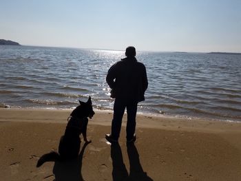 Rear view of silhouette man standing by dog on shore at beach during sunny day