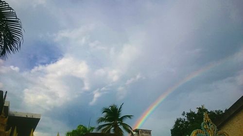 Low angle view of rainbow over trees against sky