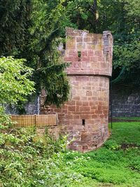 View of stone wall in park