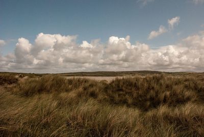 Scenic view of land against sky