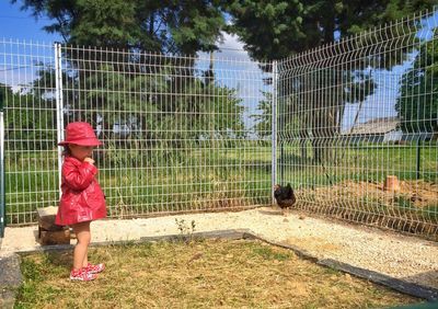 Full length of a child feeding hens