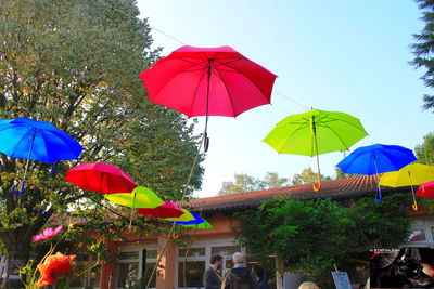 Multi colored flags hanging on tree against sky