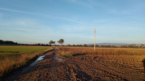 Il cuore verde dell'umbria