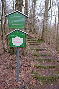 Information sign on tree trunk in forest