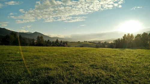 Scenic view of grassy field against bright sun