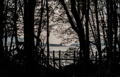 Silhouette trees by lake in forest against sky