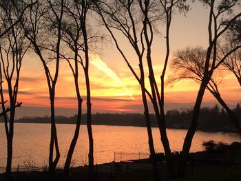 Silhouette bare trees by lake against orange sky