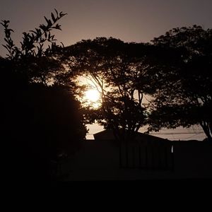 Silhouette trees by plants against sky during sunset