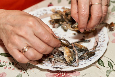 Midsection of person preparing food in plate