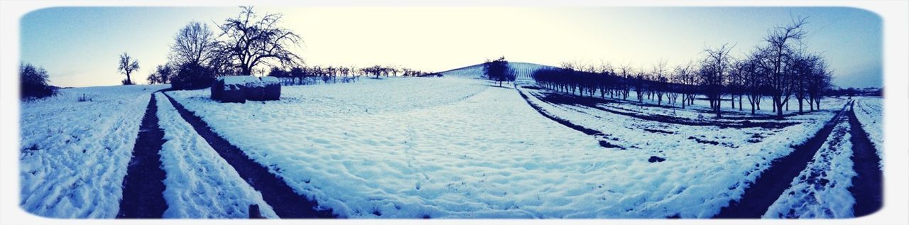 snow, winter, cold temperature, transfer print, season, weather, landscape, auto post production filter, tranquil scene, tranquility, covering, bare tree, nature, field, sky, tree, scenics, clear sky, snow covered, frozen