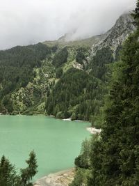 Scenic view of lake and trees against sky