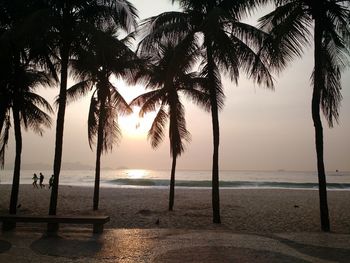 Palm trees on beach at sunset