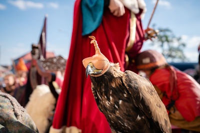 Close-up of person holding bird