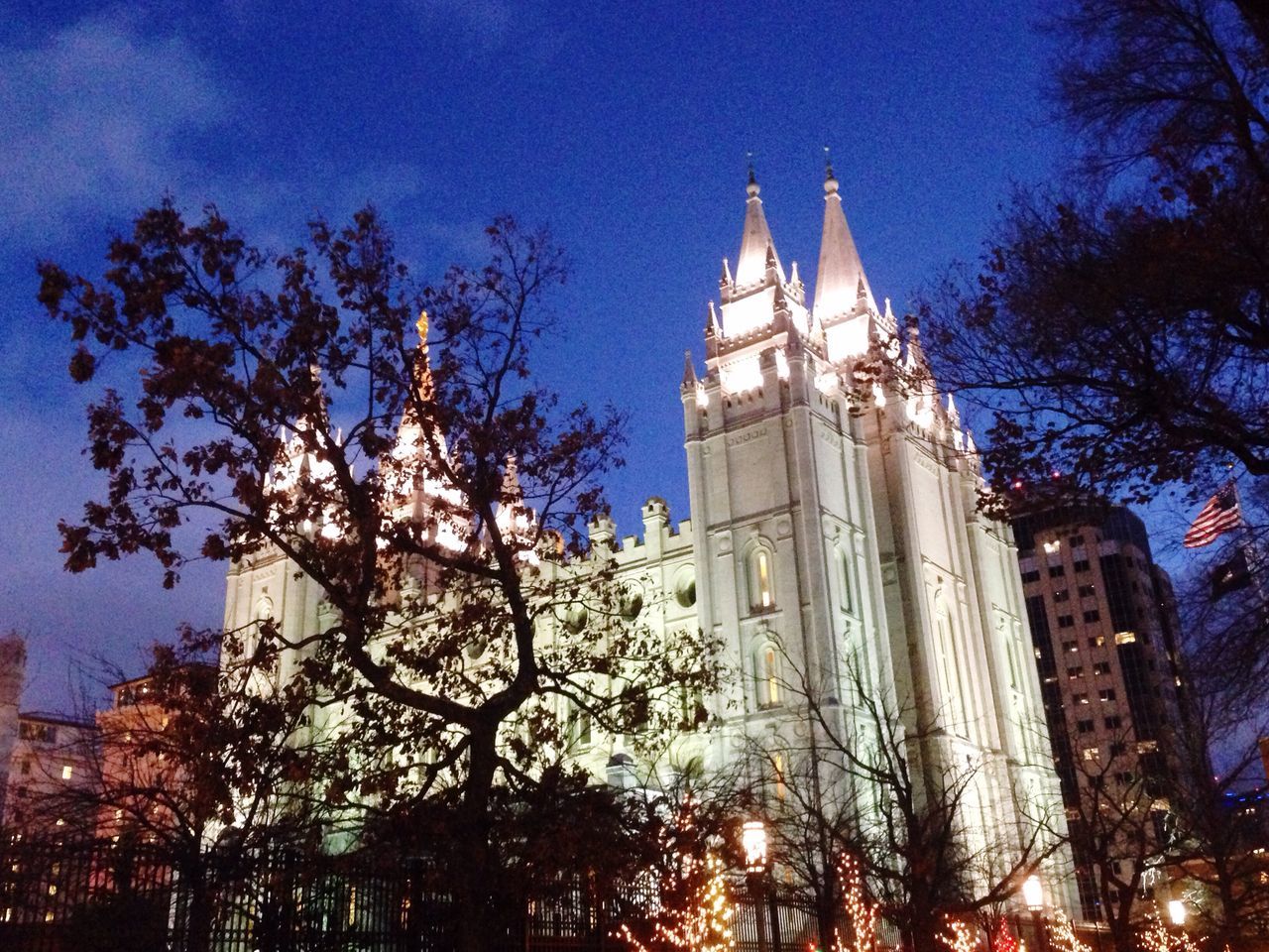 building exterior, architecture, built structure, low angle view, tree, illuminated, tower, city, blue, tall - high, night, clear sky, branch, sky, place of worship, church, religion, skyscraper, famous place, outdoors