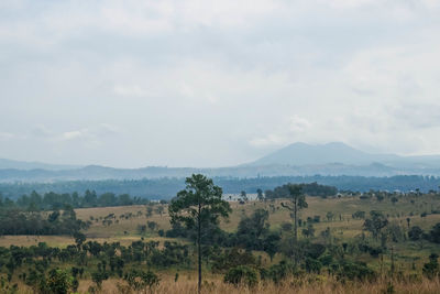 Scenic view of landscape against cloudy sky