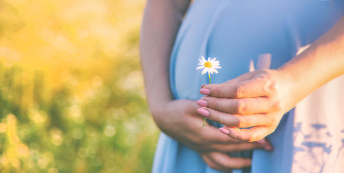 Midsection of pregnant woman holding flower