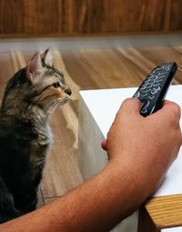 Close-up of hand holding cat