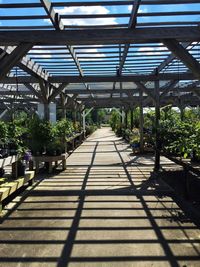 Road passing through trees