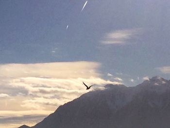 Bird flying over mountains