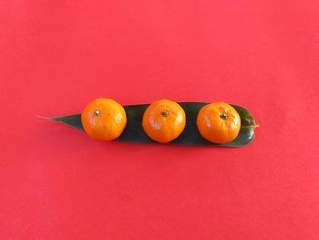 Close-up of oranges against red background