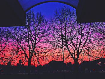 Silhouette bare trees against sky at night