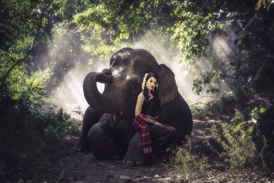 Young woman sitting on elephant in forest