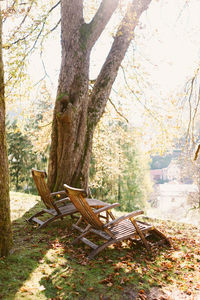 Empty bench by tree trunk during autumn