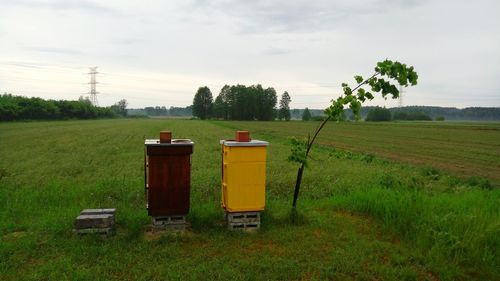 View of agricultural field against sky