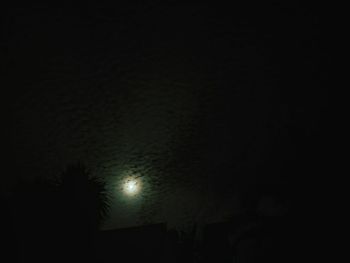 Low angle view of silhouette trees against sky at night