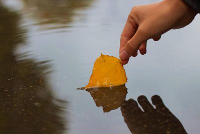 Midsection of person holding maple leaf during autumn