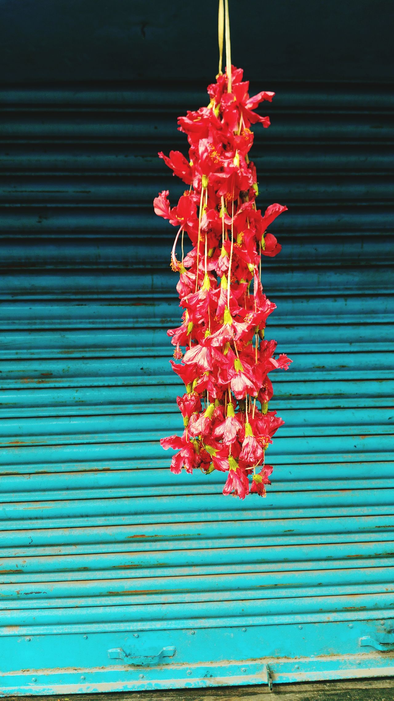 Holy jajoba garland in front of a shop