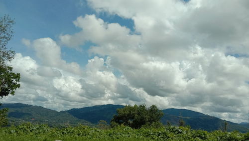 Scenic view of landscape against sky