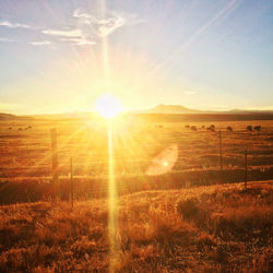Scenic view of field against sky during sunset