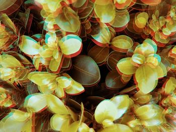 Full frame shot of multi colored background