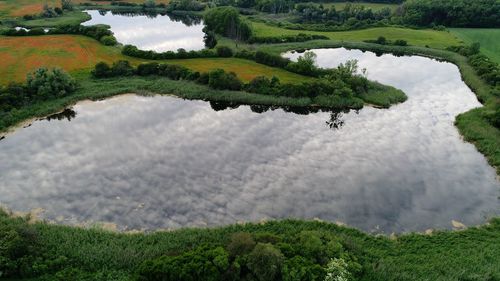 Scenic view of river by trees