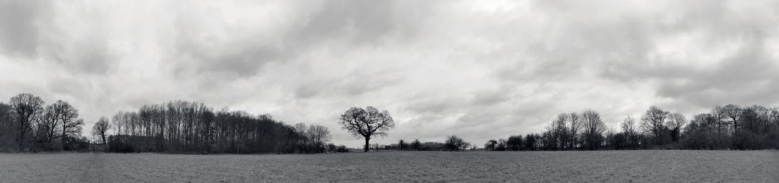 Panoramic shot of trees on field against sky