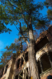 Low angle view of built structure