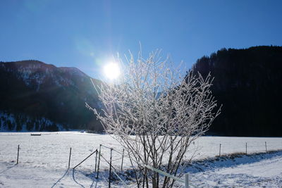 Scenic view of snow covered field against sky