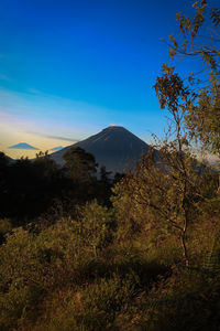 Scenic view of landscape against clear sky during sunset