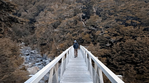 Rear view of man standing on footbridge