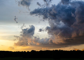 Low angle view of silhouette trees against sky during sunset