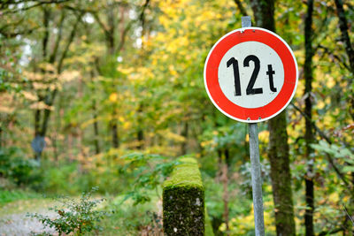 Information sign on road amidst trees in forest