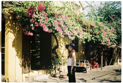 Plants growing on a tree