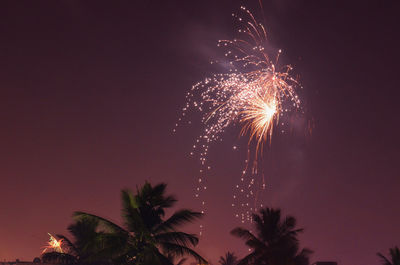 Low angle view of firework display at night