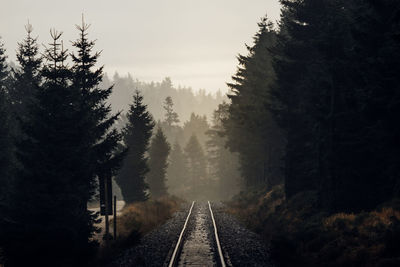 Railroad tracks amidst trees in forest against sky
