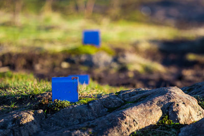 Rocks and grass on field during sunny day